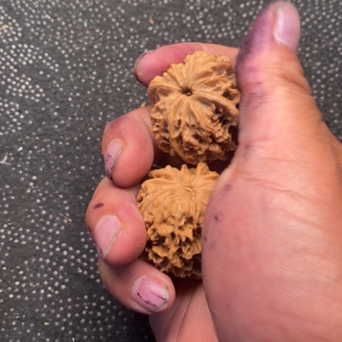 文玩核桃把件灯笼3.3