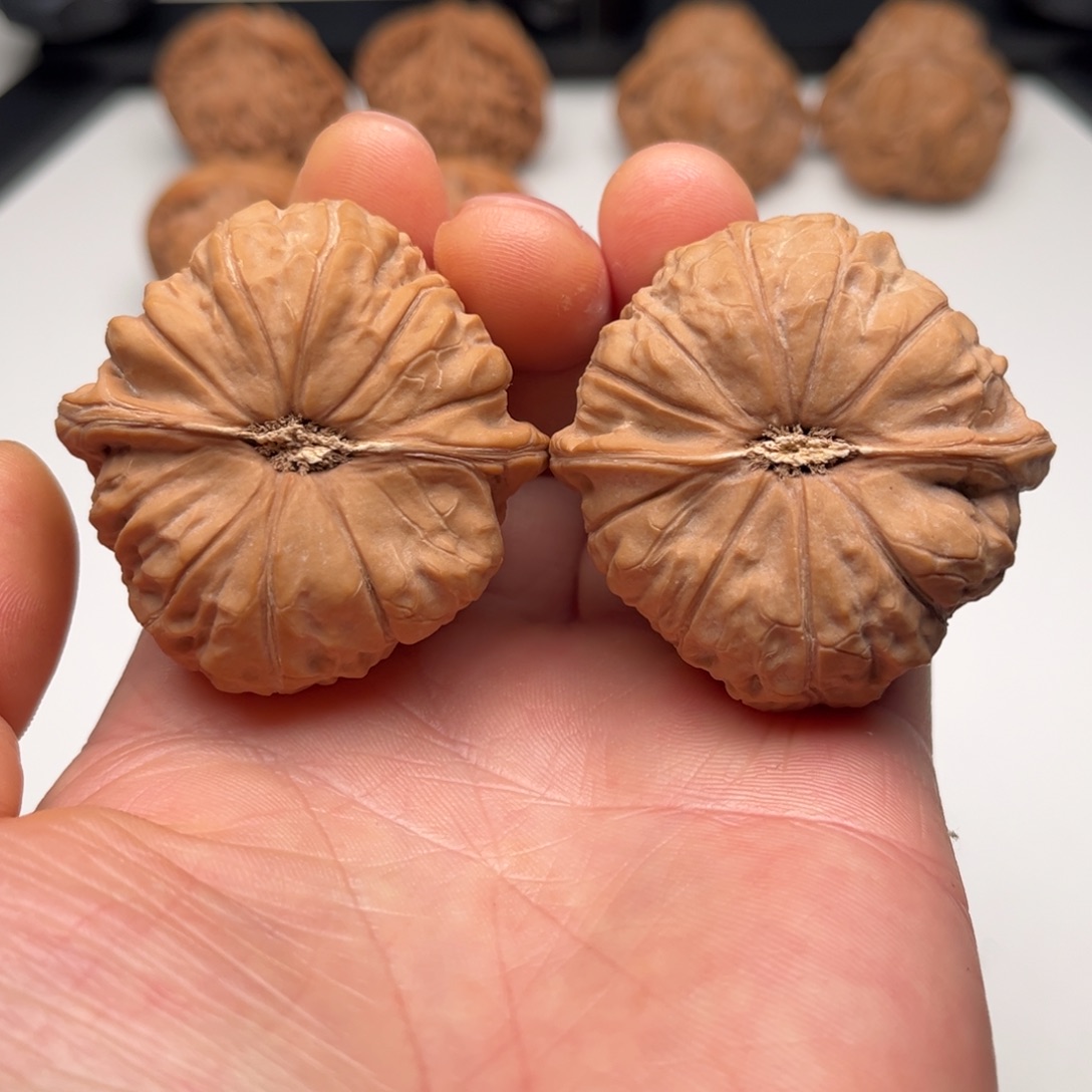 核桃把件45 南瓜饼