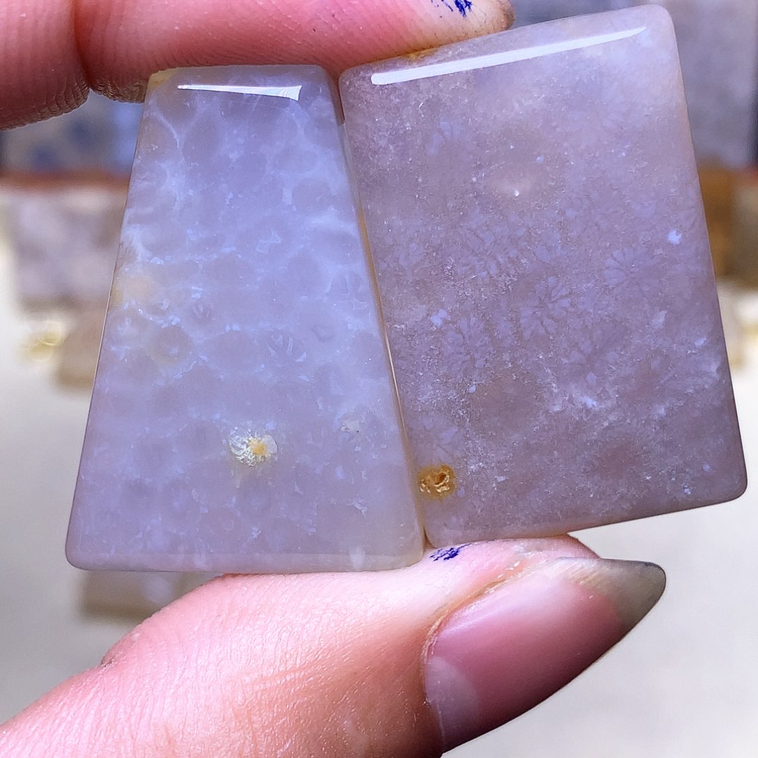 硅化玉珠宝奇石合金杏*菌