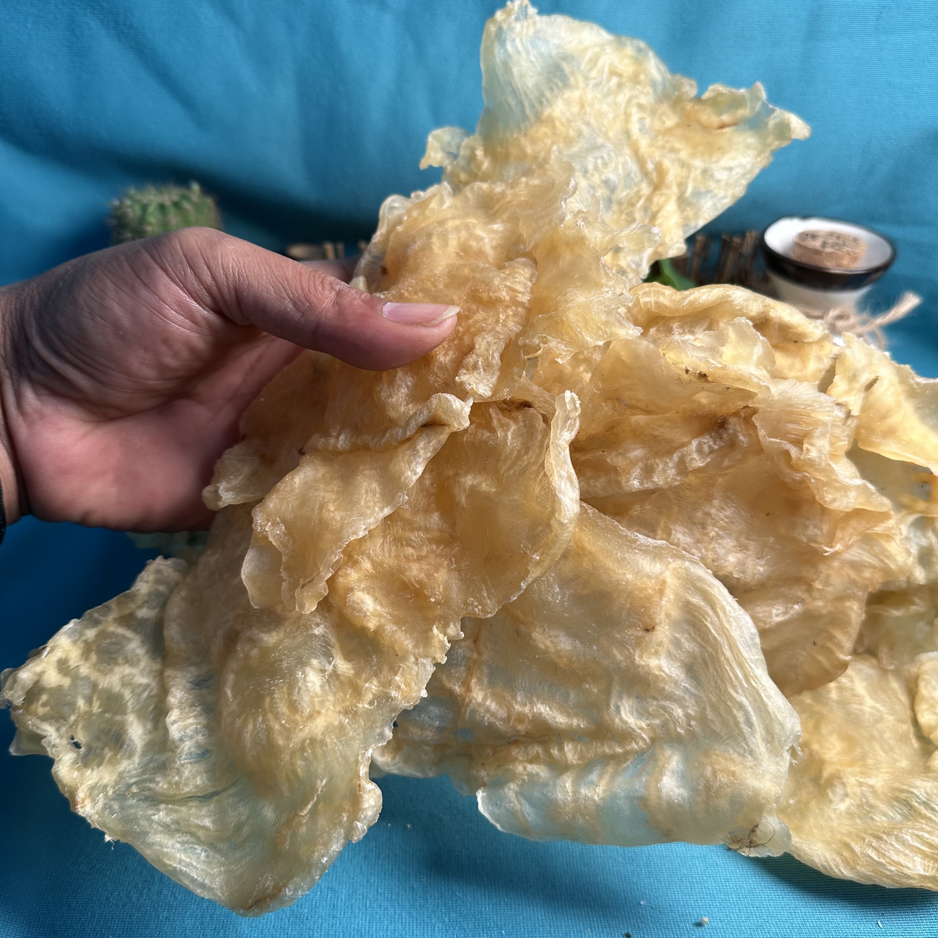 赤鱼胶 开片赤鱼胶  250克/500g 