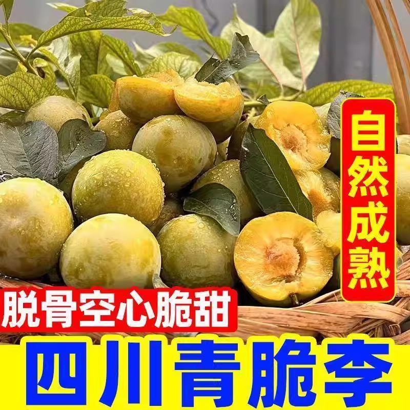 【珍珠棉发货】四川青脆李脱骨李新鲜应季水果脆甜脱骨