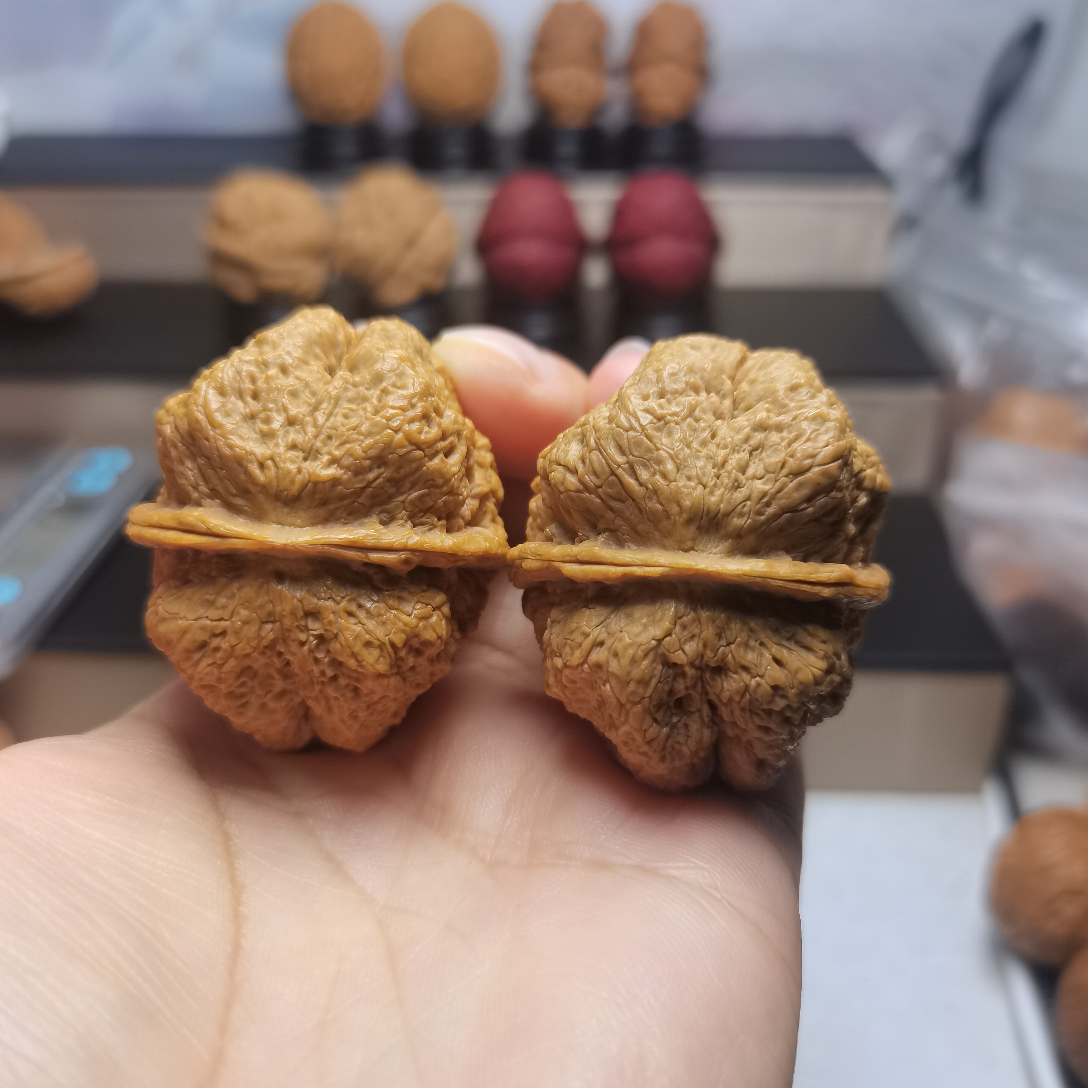 蝴蝶蟾云南野生铁皮核桃文玩