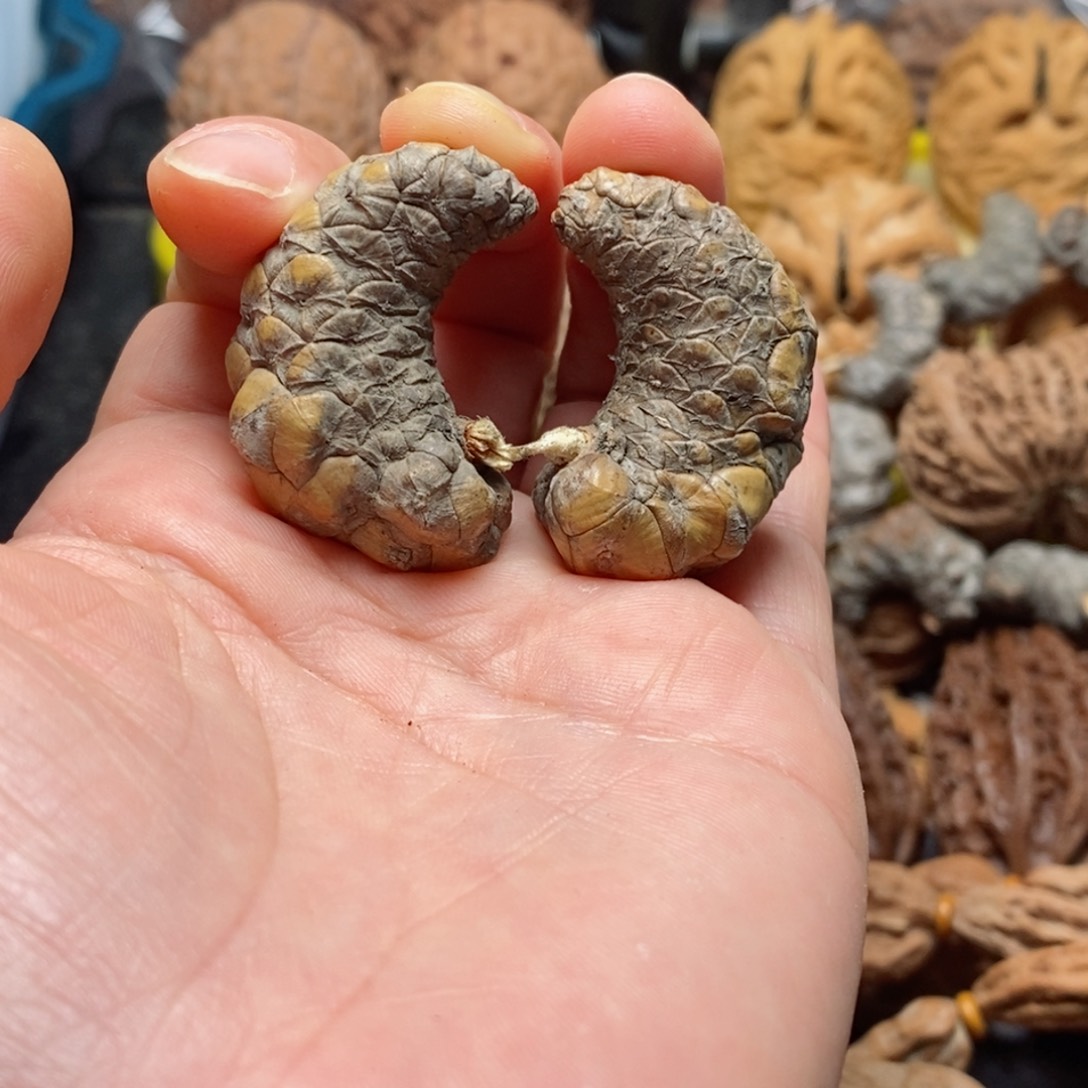 文玩核桃吊坠核桃42