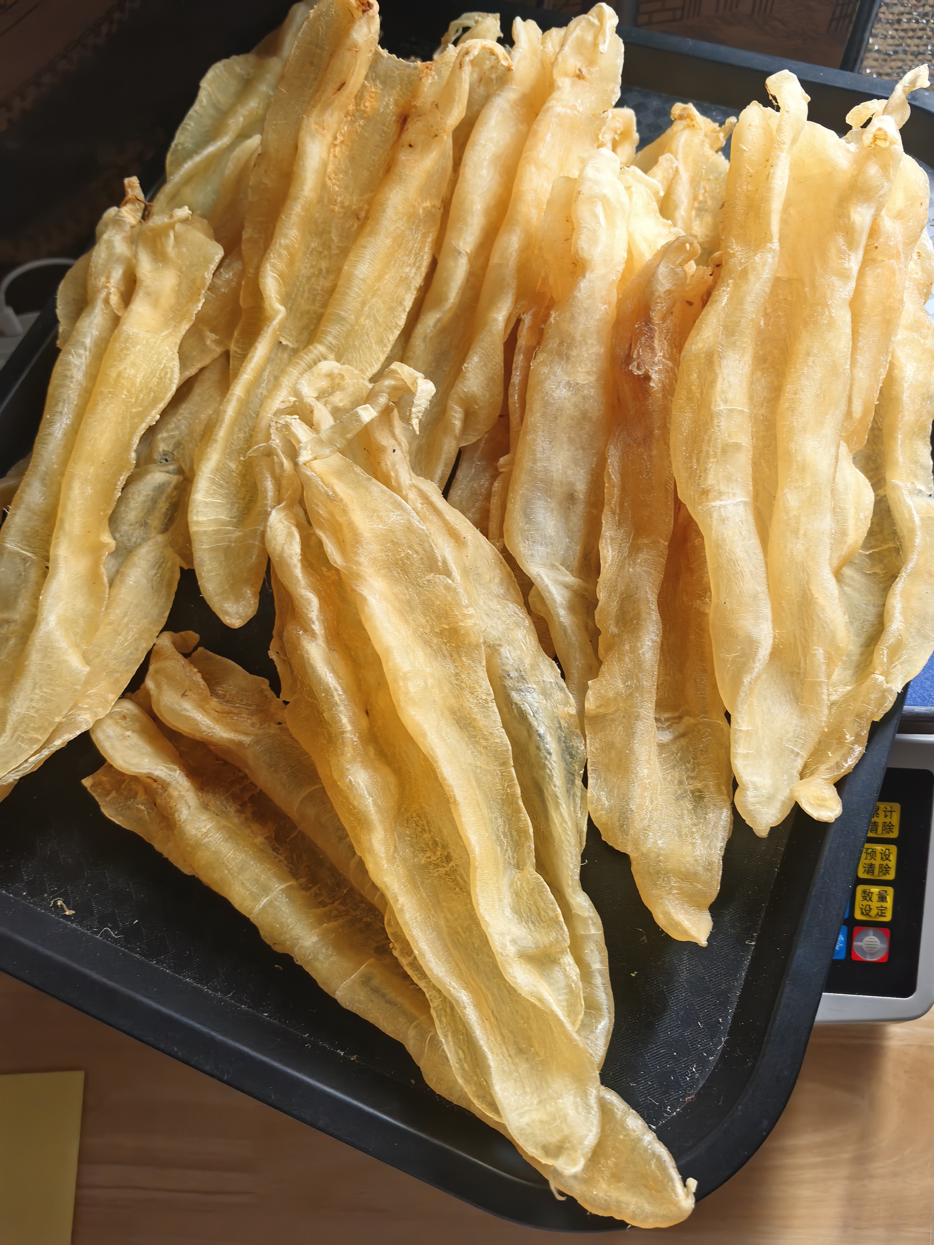 锋汇商行 尖尾母