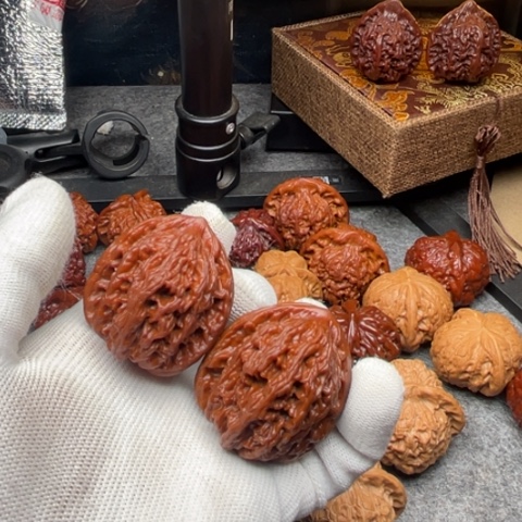 李***把件文玩核桃虎头40