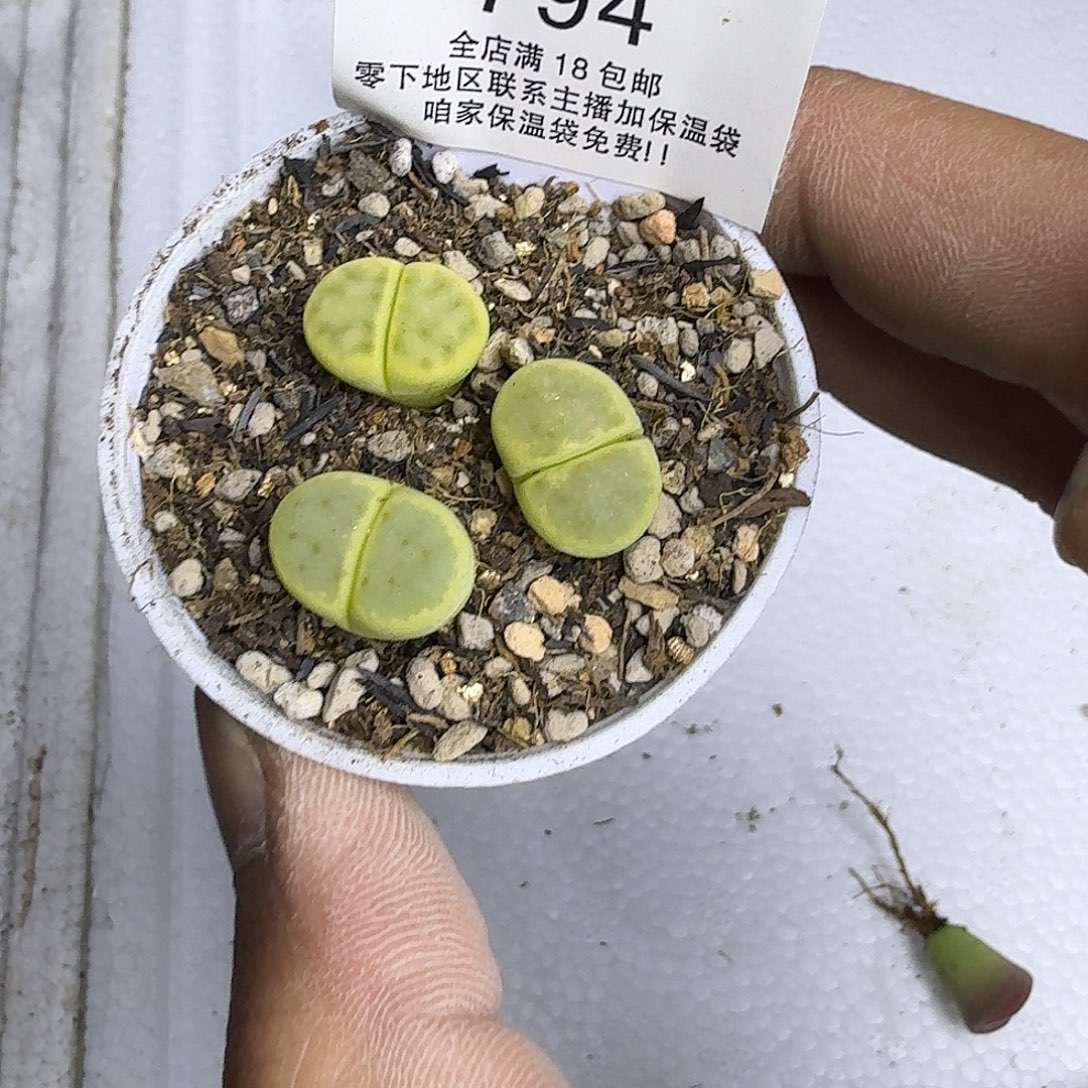 794 哈哈哈哈哈哈哈哈哈