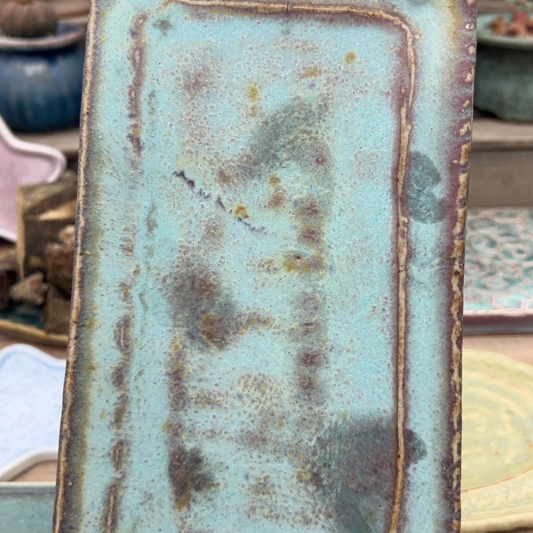 1987多肉花盆托盘021