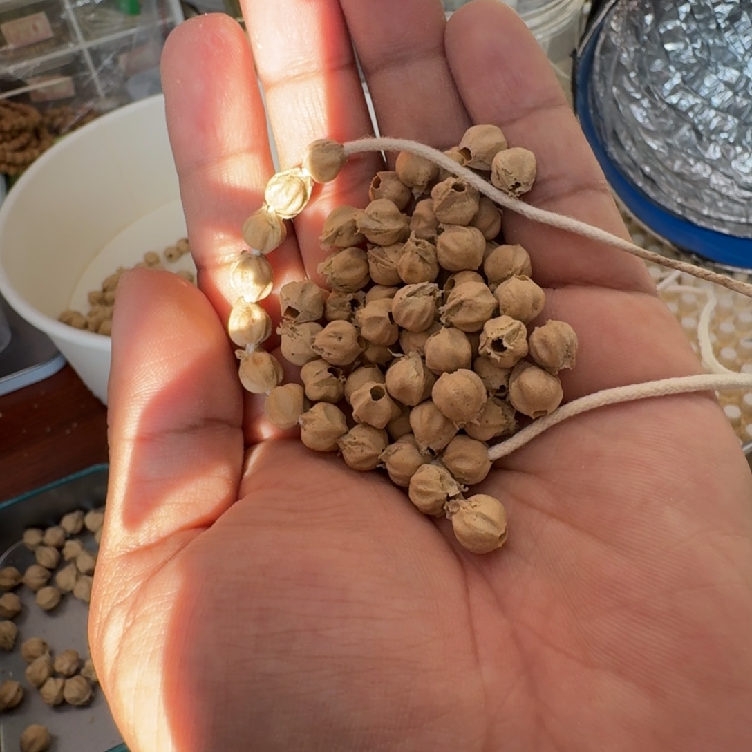 严***选柏香籽/百香籽吊坠