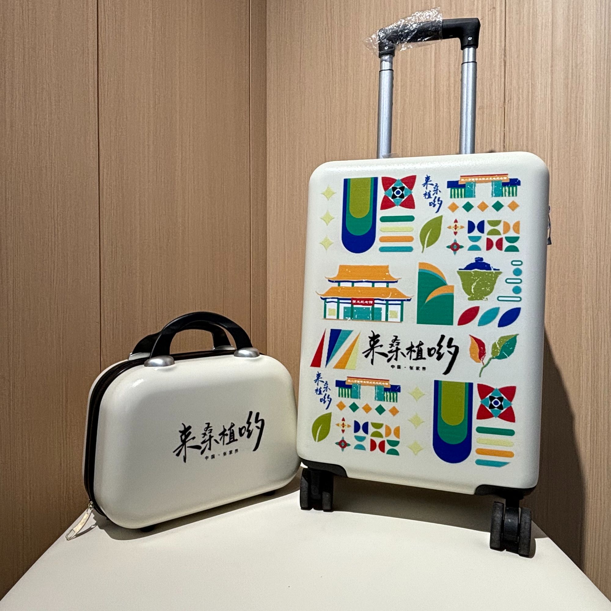 来桑植哟文创行李箱拉杆箱登机密码旅行结实耐用加厚多功能行李箱