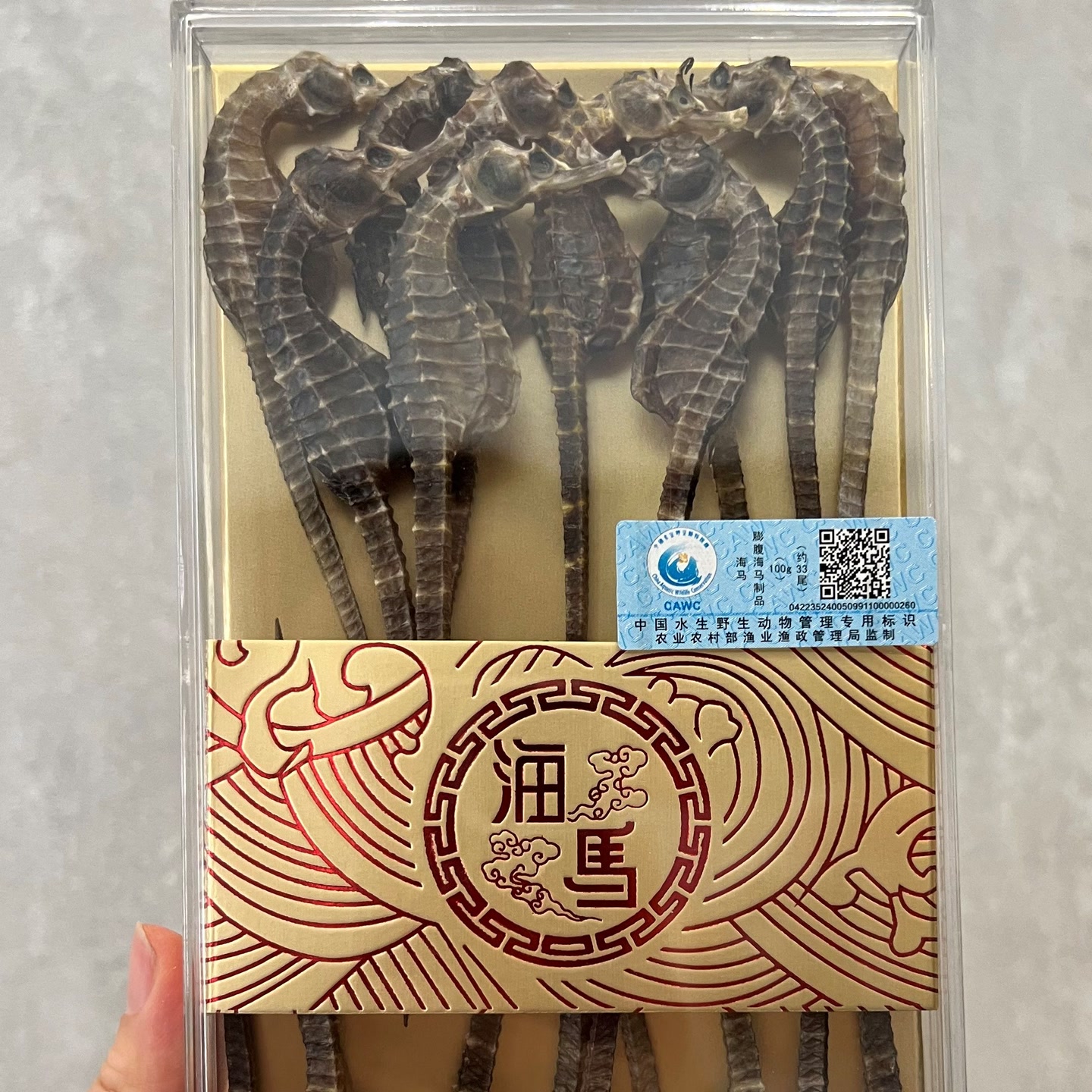 (滋福)  海马干条