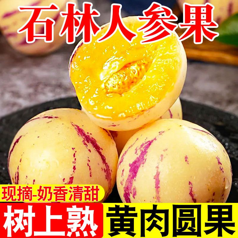 云南正宗人参果黄心黄肉圆果低糖当季新鲜水果现摘头茬果