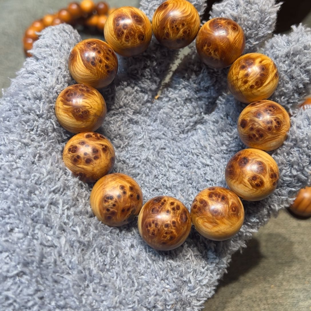 太行崖柏陈化太行