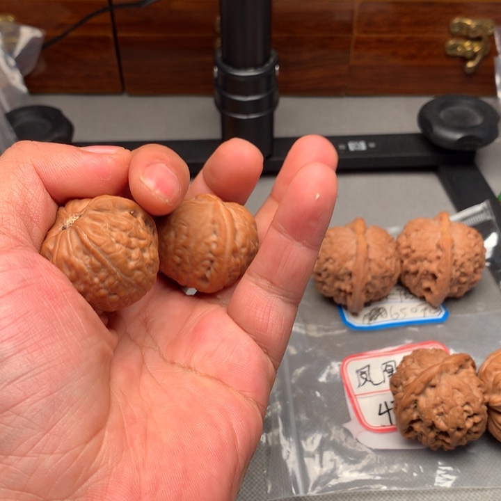 力***哥大叶紫檀（黑酸枝木类）舍利子核桃