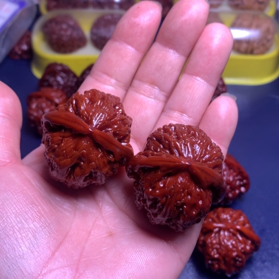 文玩核桃把件39白狮子