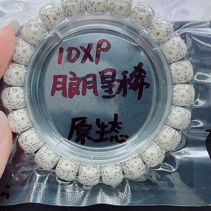 星月菩提吊坠10的尺寸