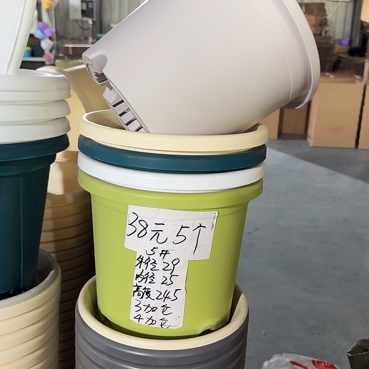 四季5#口径29灰白10个无托