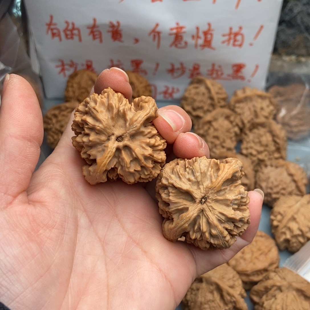 文玩核桃把件如**行九龙潭29