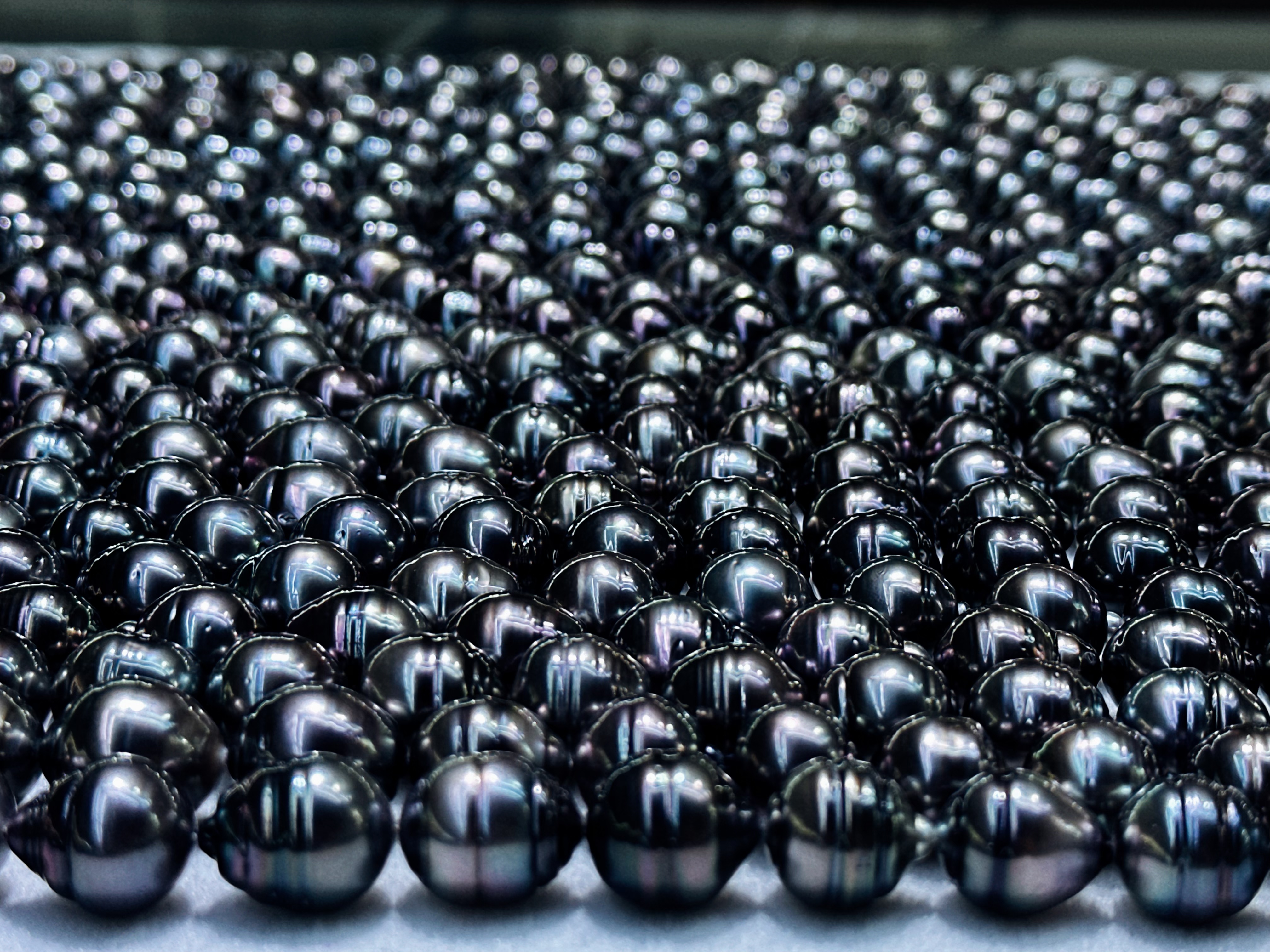 海水珍珠大溪地大点位螺纹项链（特价品）（多样性发货一件）