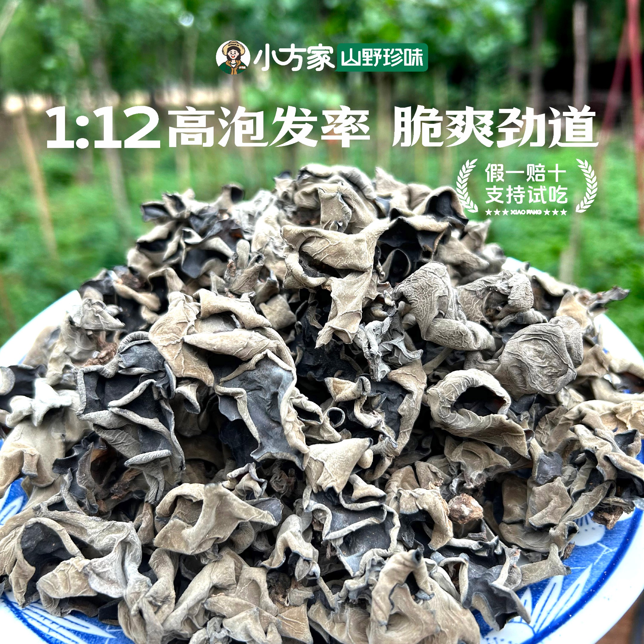 【小方家】伏牛山椴木黑木耳干货深山野外木头生长木耳产地直发