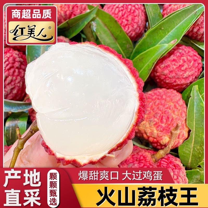 【顺丰/京东冷链/EMS】荔枝王超大甜 福建产区现摘新鲜多汁当季水果