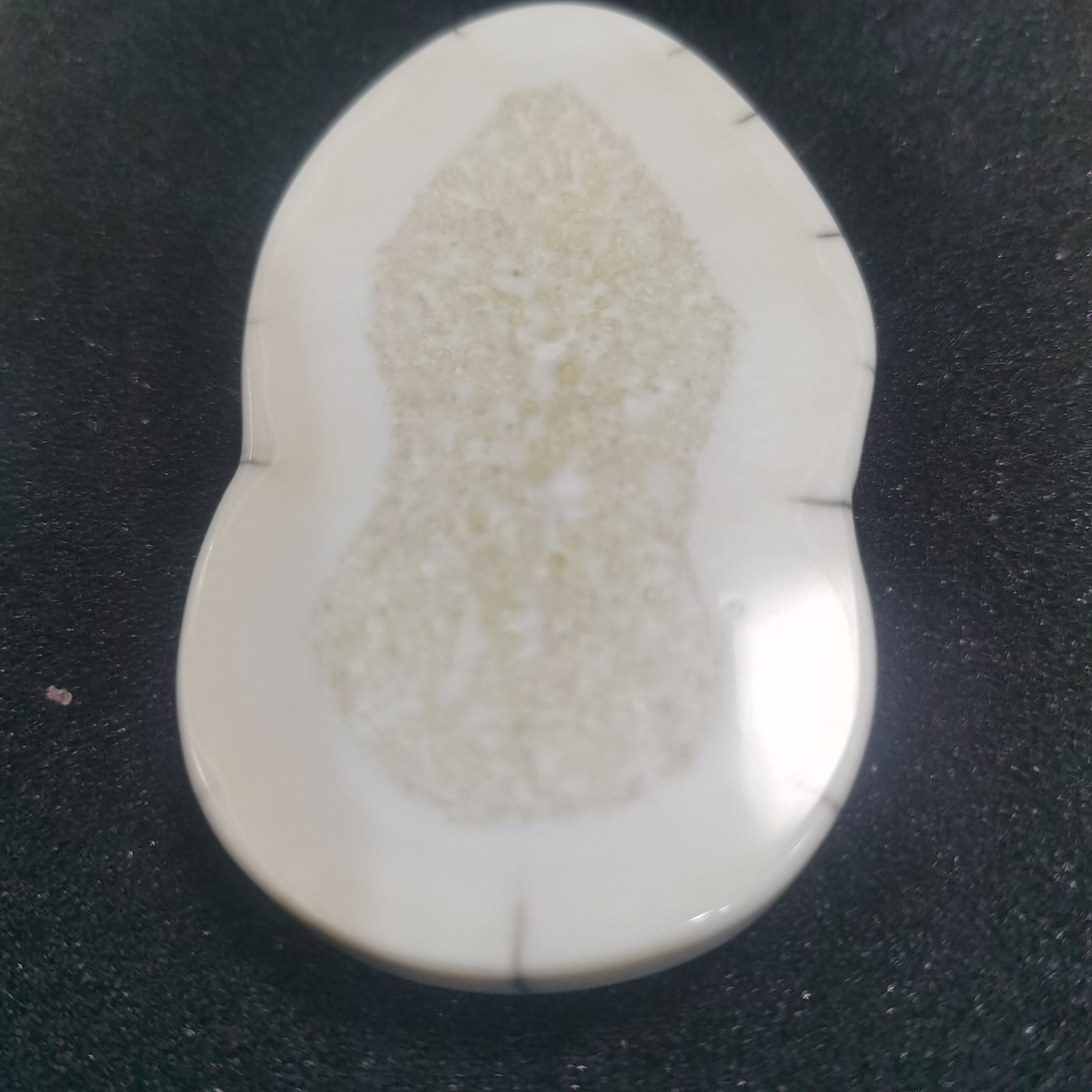 猛犸猛犸虬饼子tt812