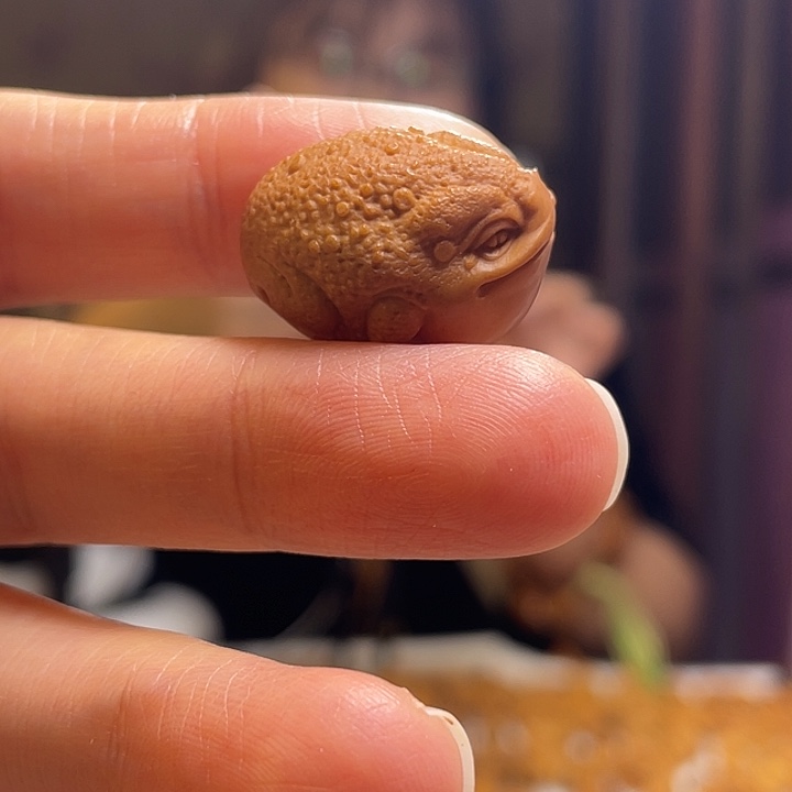 手串/手链橄榄核