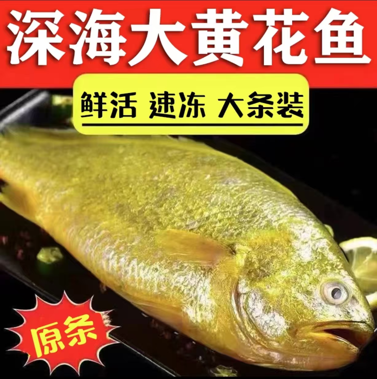 北海新鲜黄花鱼 美味黄鱼 5-10条 鲜活速冻 顺丰包邮 