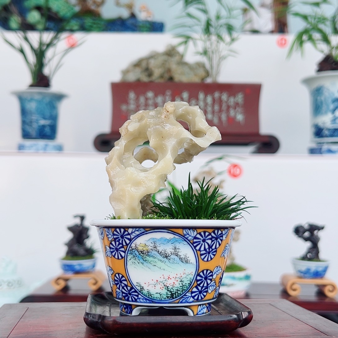 素***墨无花朵盆景，玲珑石，菖蒲，