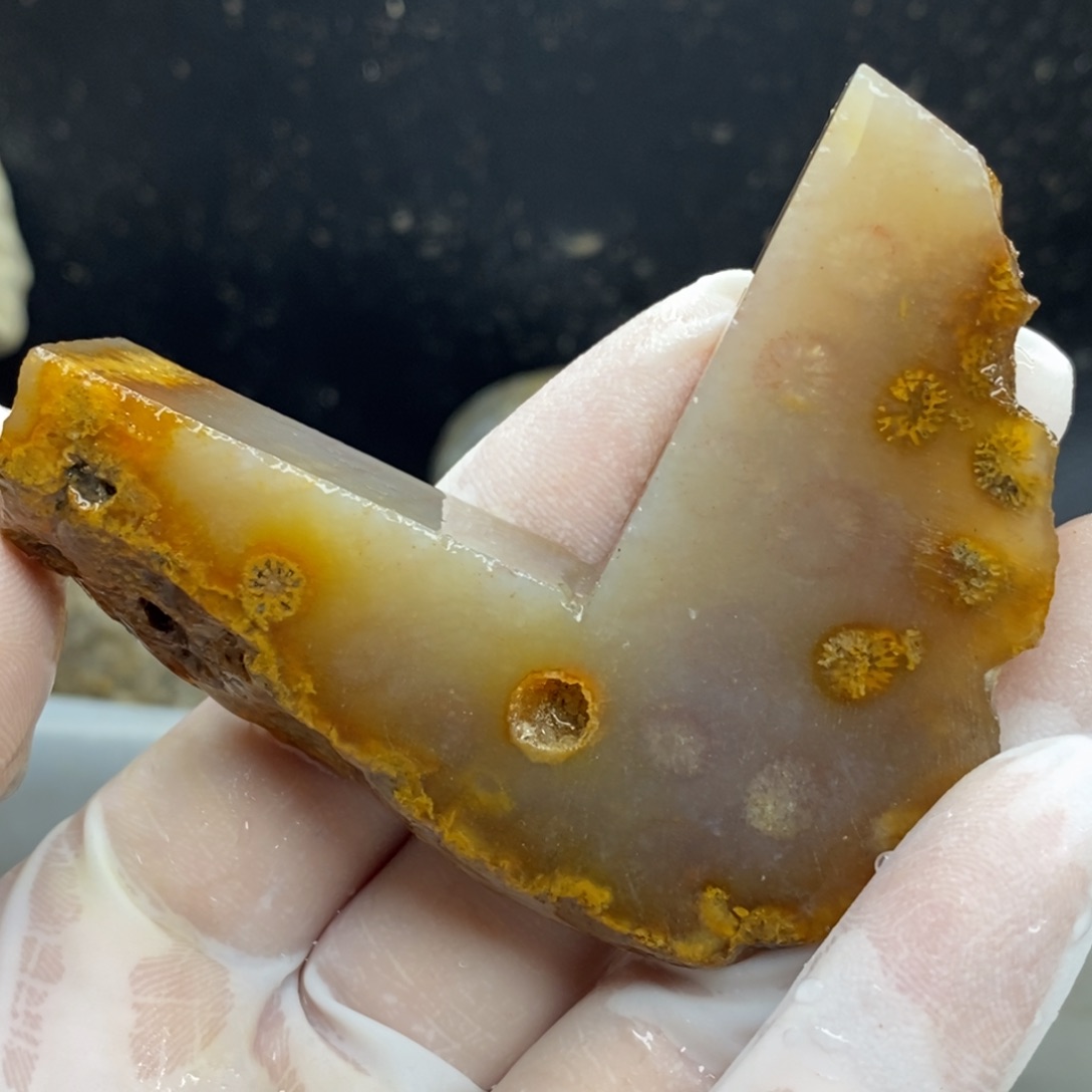 【闪购商品】硅化玉颈饰未镶嵌