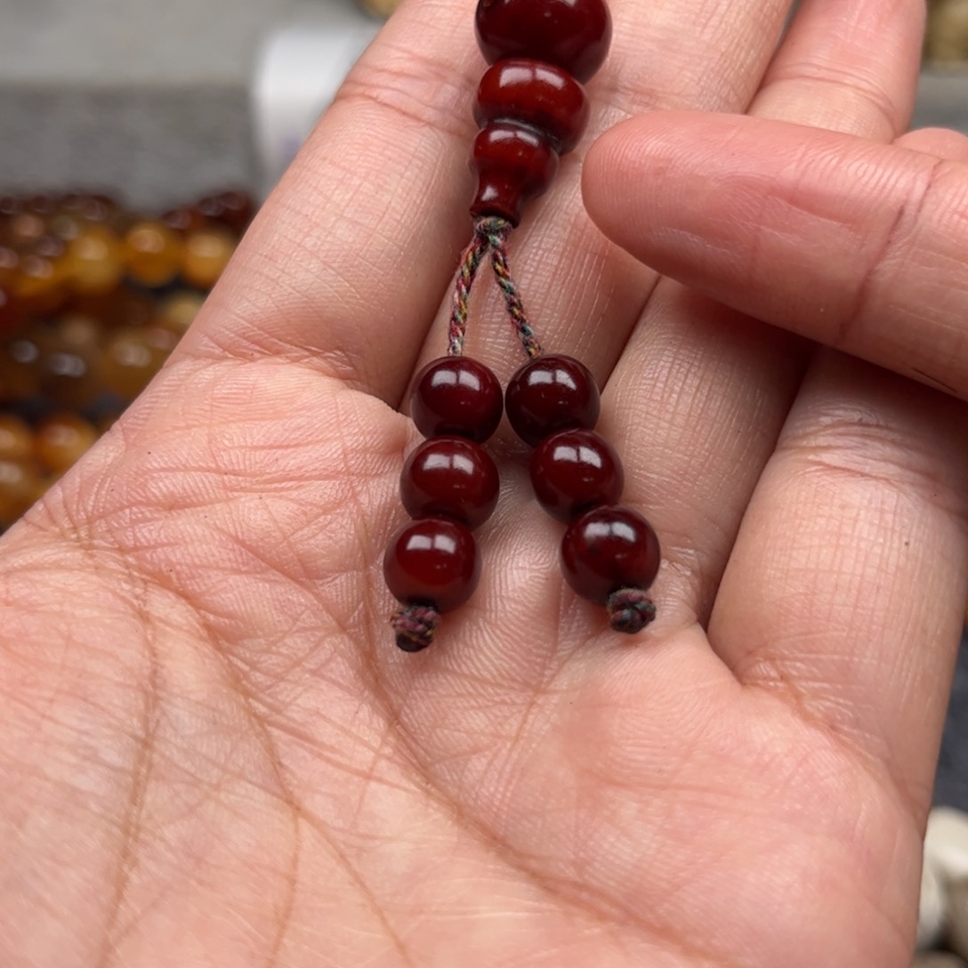 鹿骨其他人工养殖驼骨24