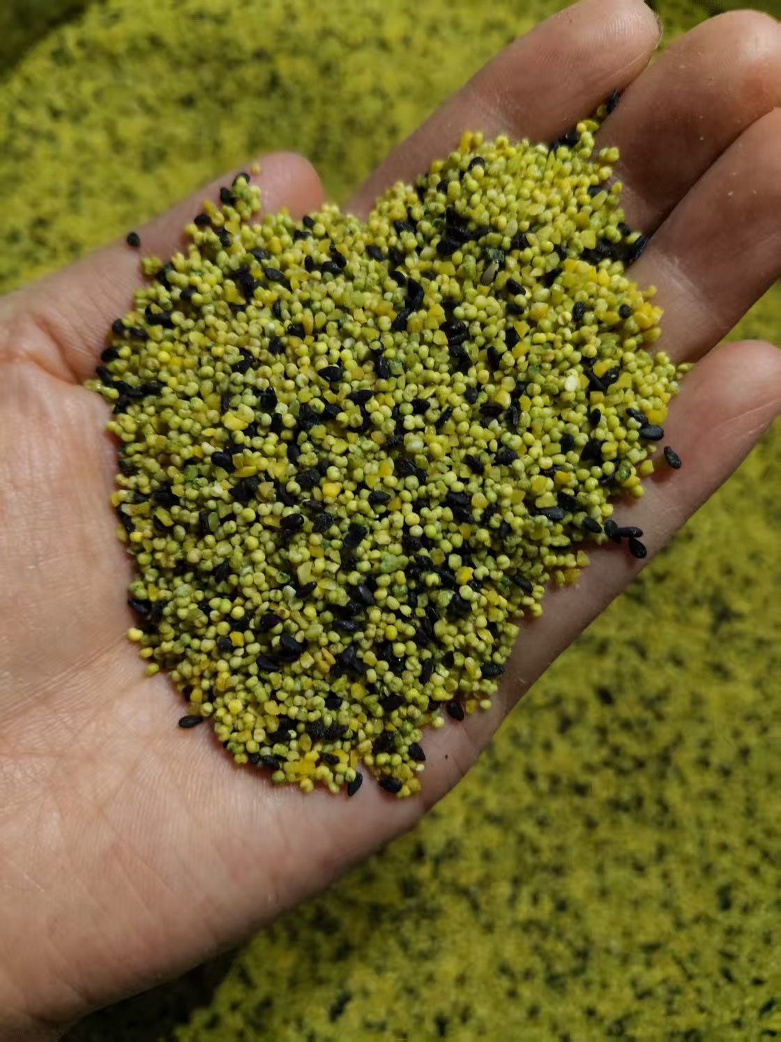 主播同款自制蛋小米