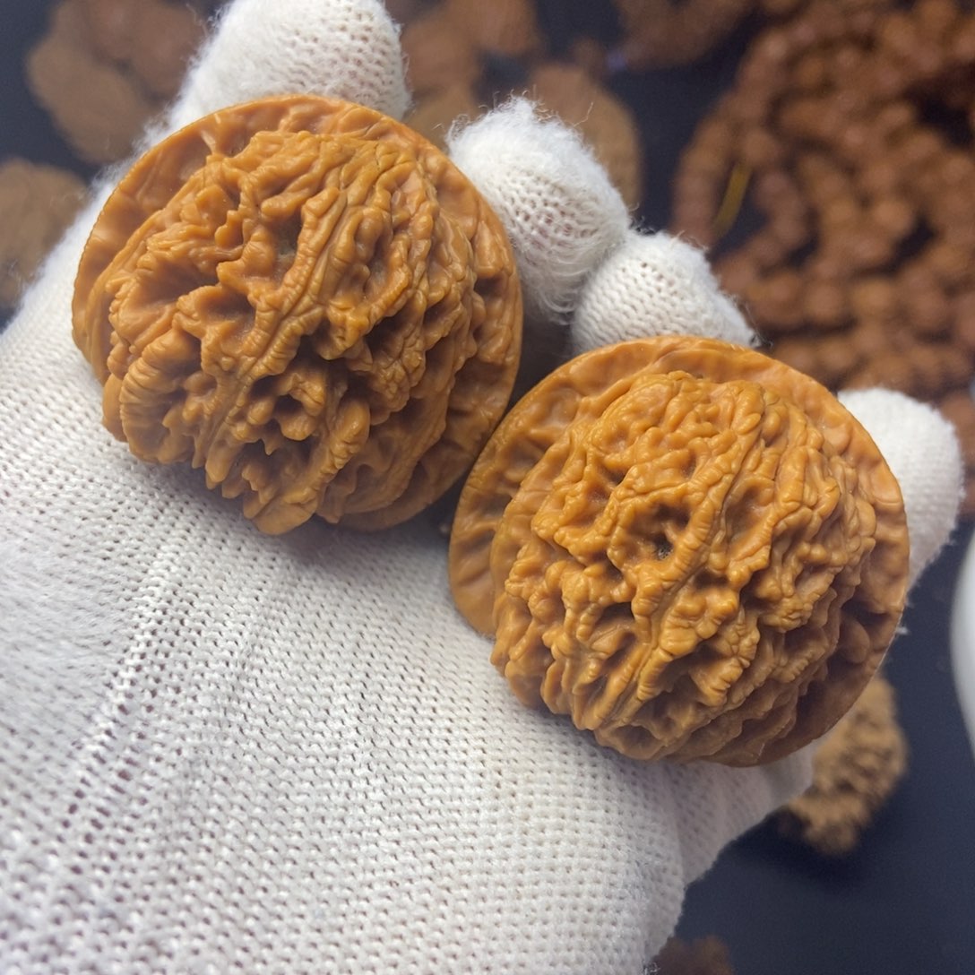 桃核把件秦岭核桃金蟾背41