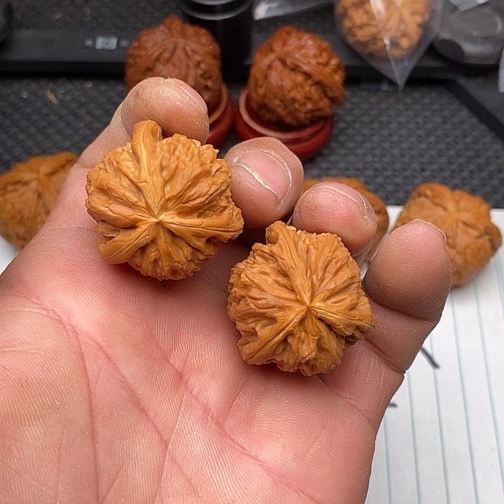 莱***一核桃把件拼接白狮子18