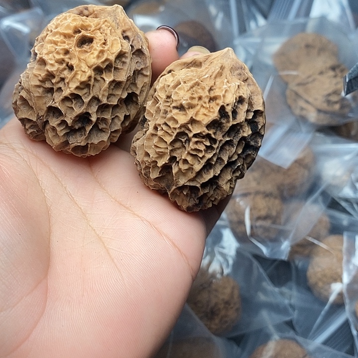 把件文玩核桃26号46mm