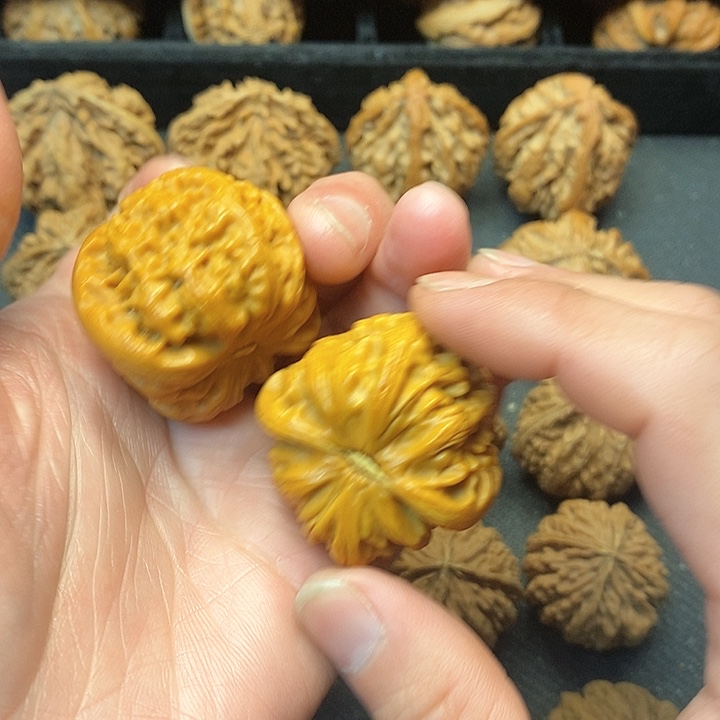 我是一只小小鸟地域鬼的