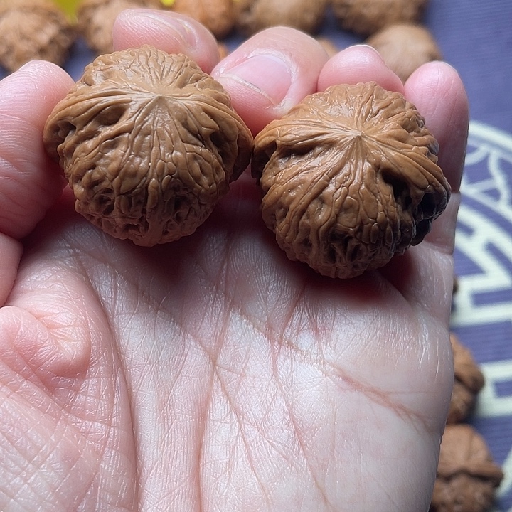 核桃文玩核桃全品铁锤妹妹