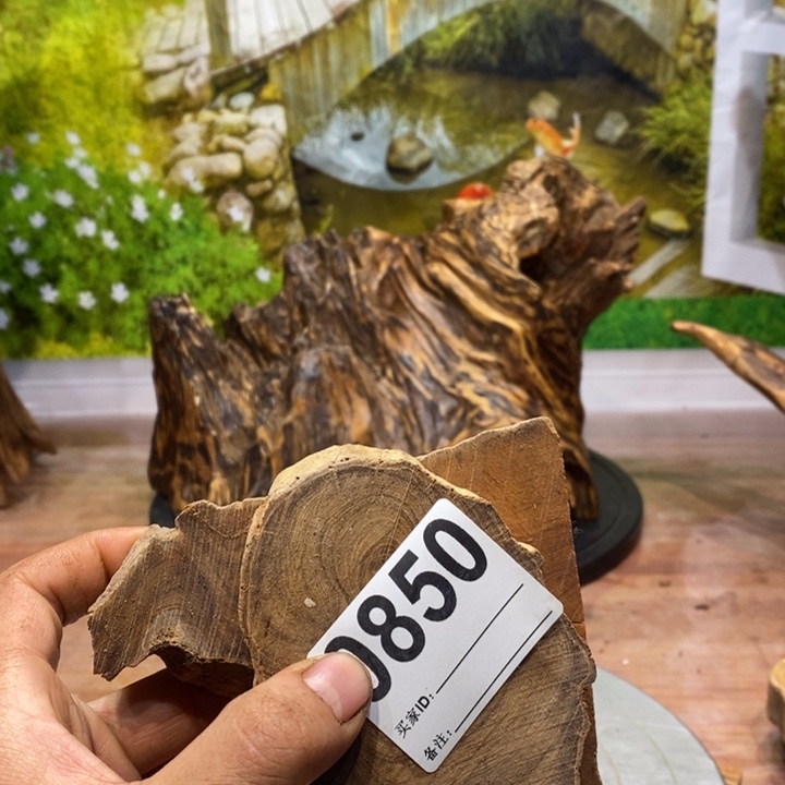 Q***@木我在外面吃饭呢你18