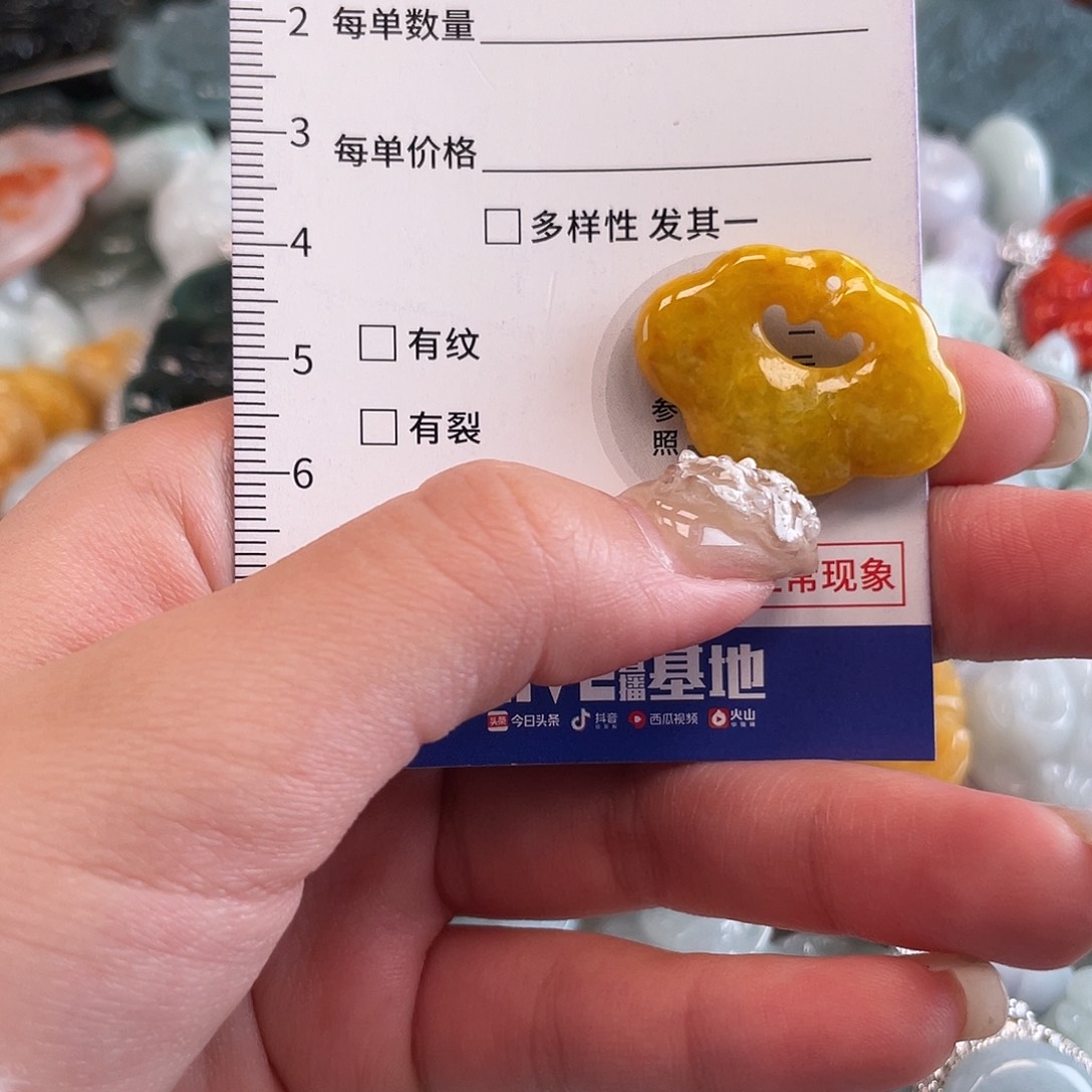 翡翠未镶嵌颈饰1607