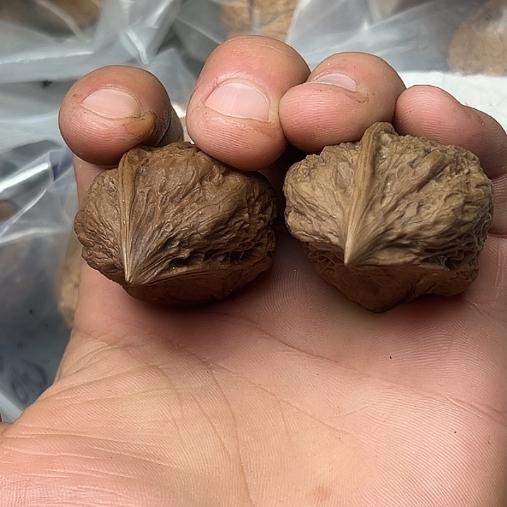 核桃36号狼牙半壁36尺