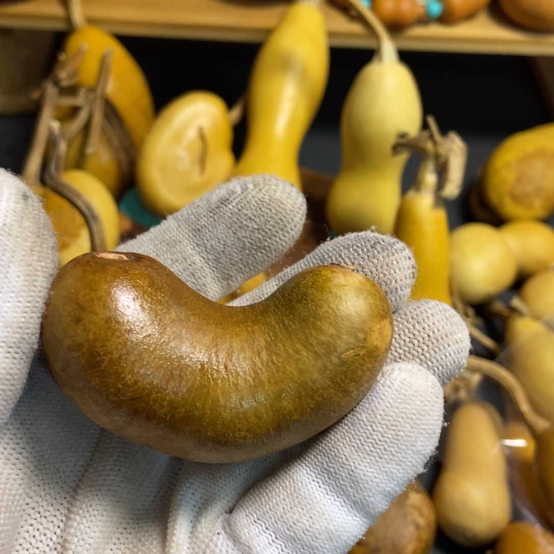 二*葫芦葫芦真的