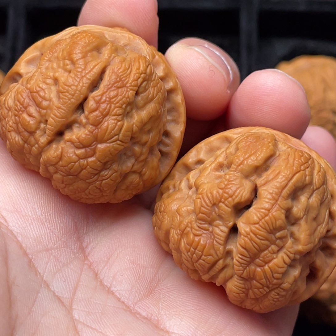 文玩核桃把件36尺寸蛤蟆头