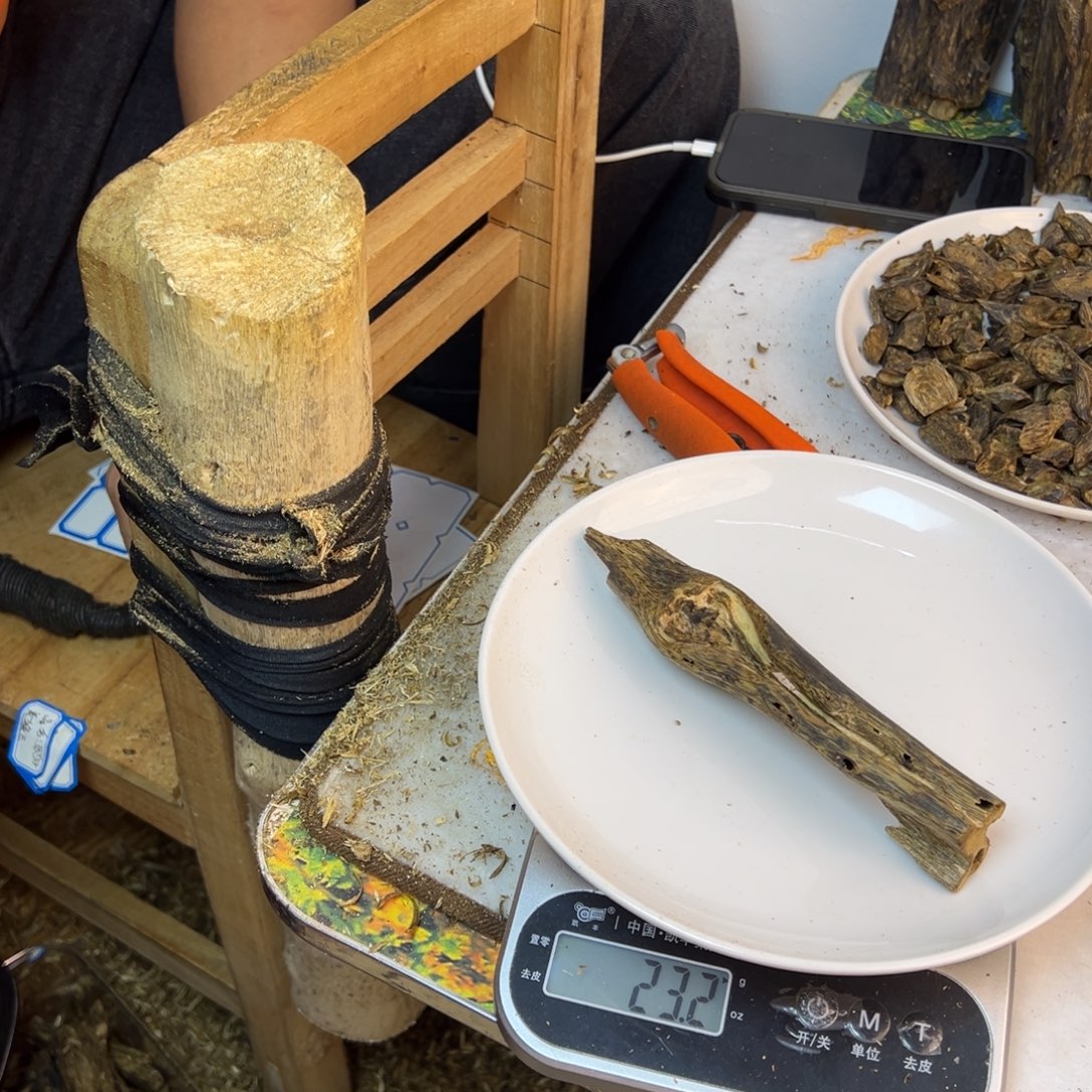 线香奇楠虫漏香23克