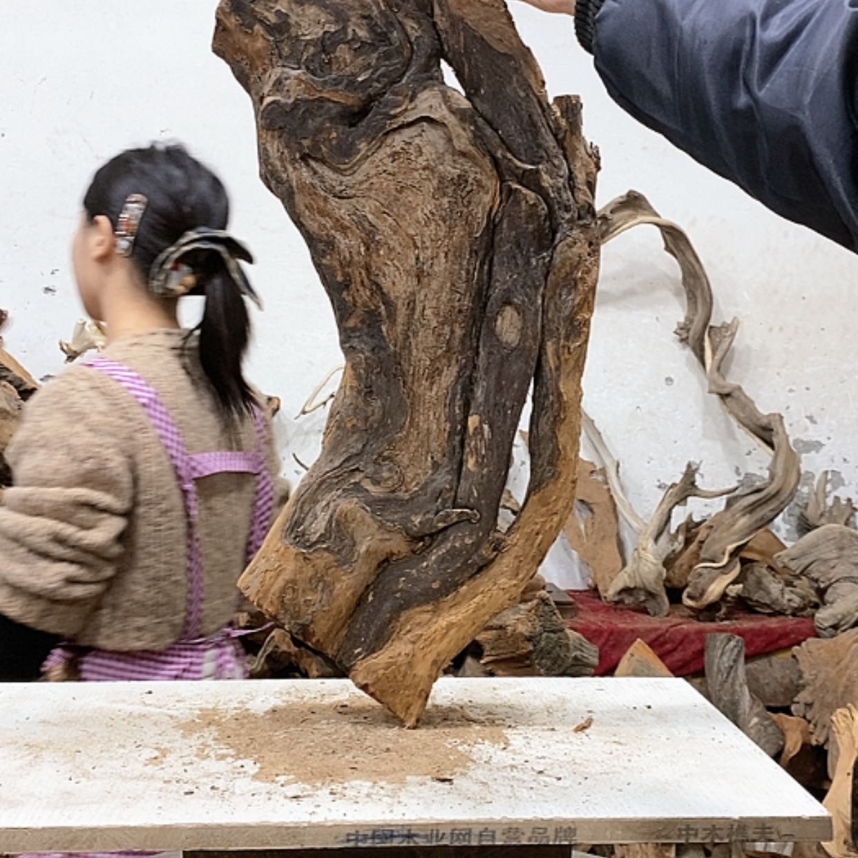 【闪购商品】柏木王*哥我们都是好孩子