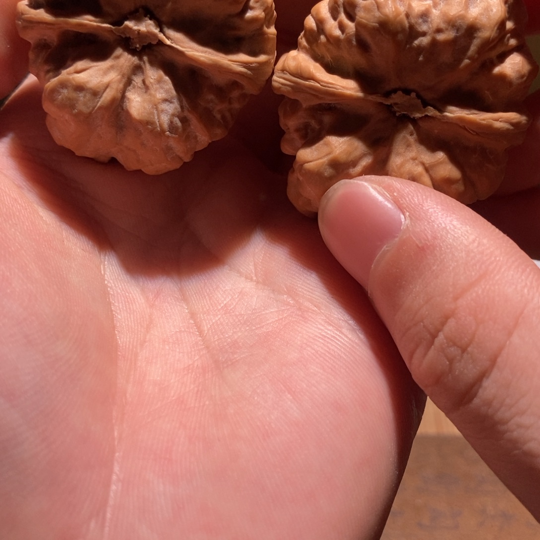 喔***乖吊坠文玩核桃蛤蟆头D31