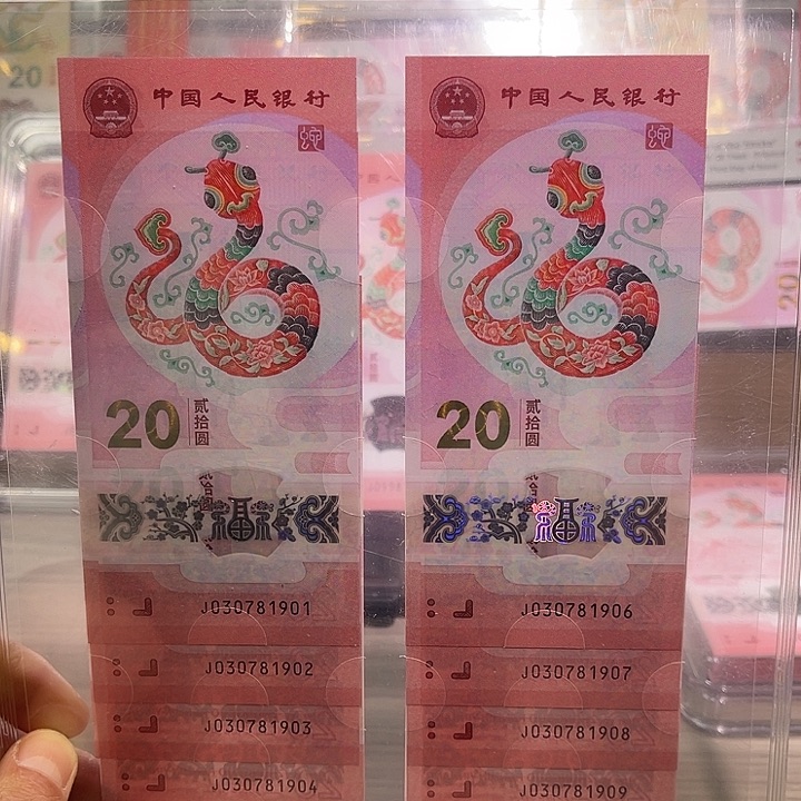 w***q塑料蛇钞标十无4评级70