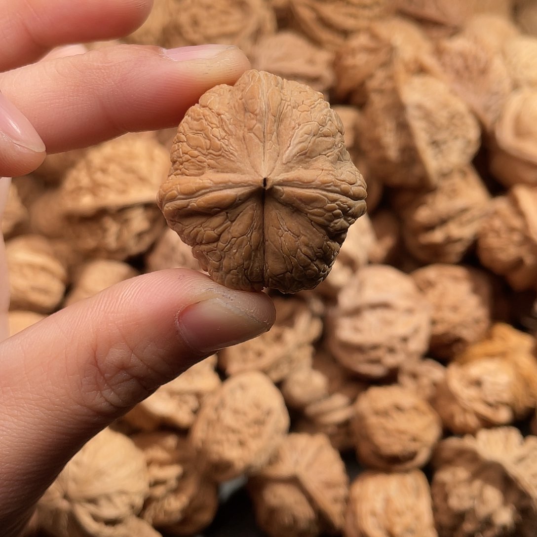 文玩核桃吊坠B****r元宝