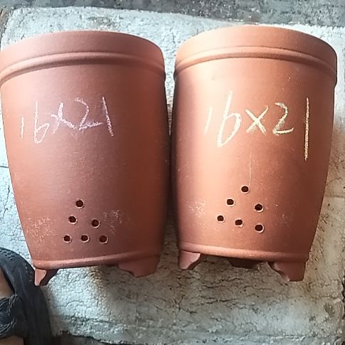 红泥三线两个花盆紫砂