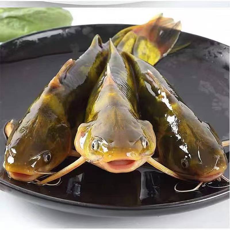 东北虎皮嘎牙子买4斤送2斤到手6斤