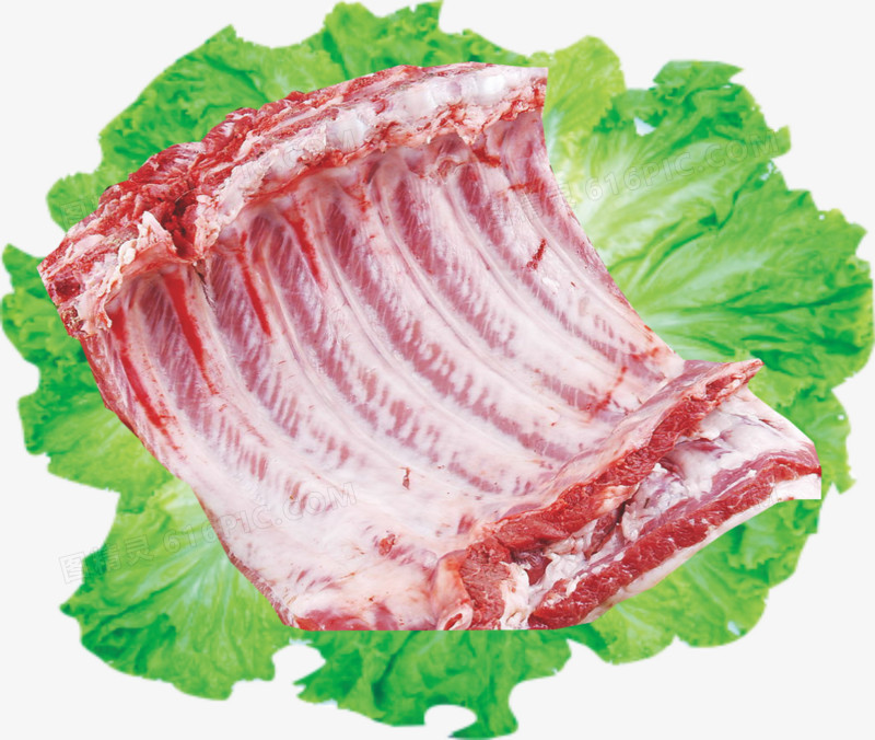 商城县大白猪肉猪排骨