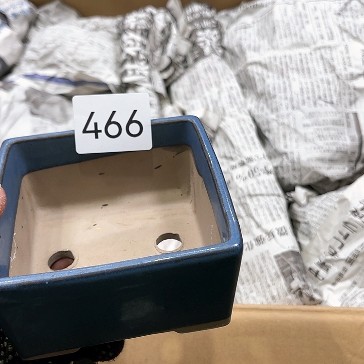 茶宠我们都在努力着改变着